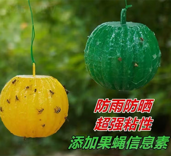 綠誘旺誘蠅球-皖樂(lè)收生物