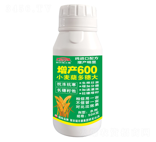 С���Y��������a(ch��n)600-�����r(n��ng)��