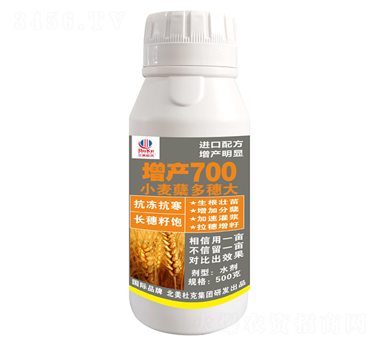 小麥蘗多穗大增產(chǎn)700-北美農(nóng)大