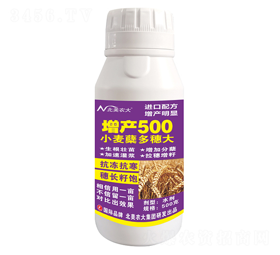 小麥蘗多穗大增產(chǎn)500-北美農(nóng)大