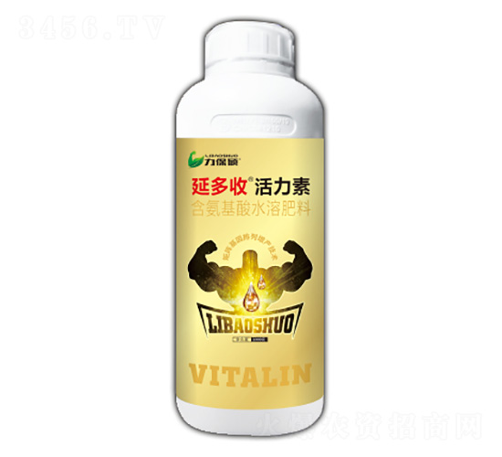 �Ӷ��ջ�����-�����T-���A�r�I(y��)