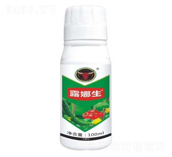 �����������-¶����-��ţ���H