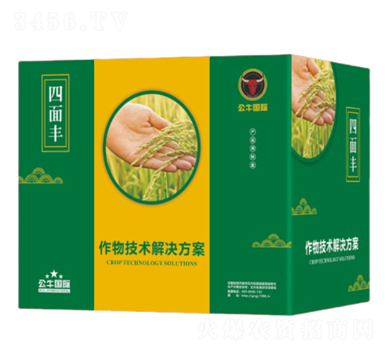 水稻增產(chǎn)技術(shù)解決方案-四面豐-公牛國際