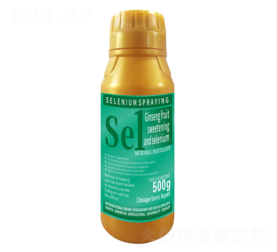 500g�˅������������������1̖-�����r(n��ng)��