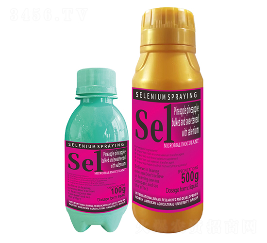 ���}�P����������������1̖(h��o)-�����r(n��ng)��