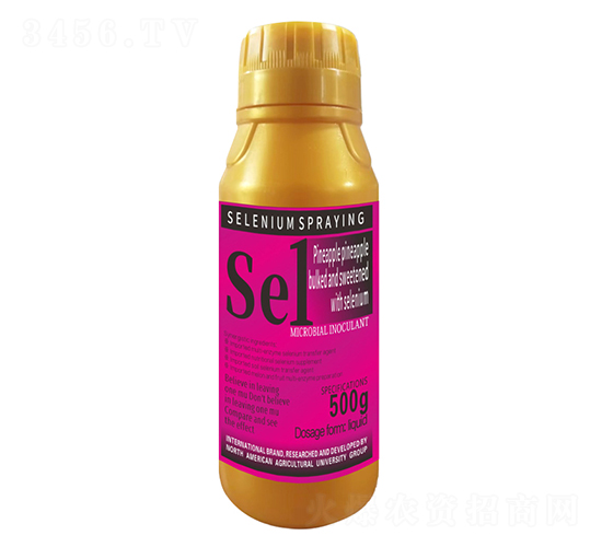 500g���}�P����������������1̖(h��o)-�����r(n��ng)��