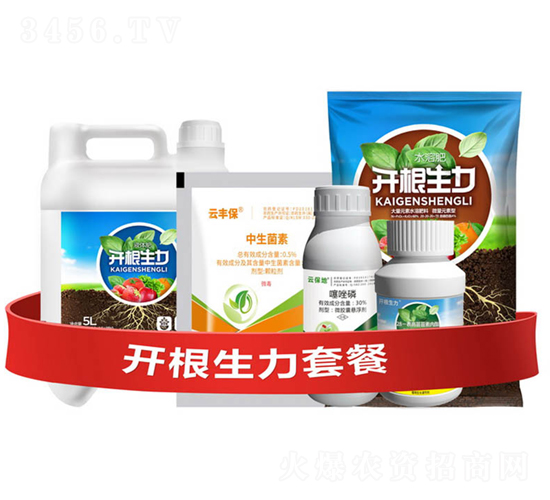 開根生力套餐Ⅰ-開根生力-云大科技