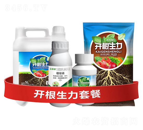 開根生力套餐H-云大科技