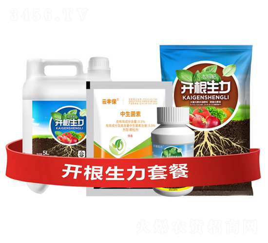 開根生力套餐G-云大科技