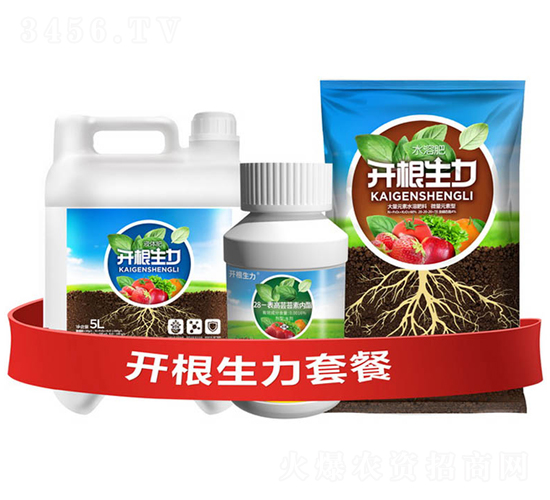 開根生力套餐F-云大科技