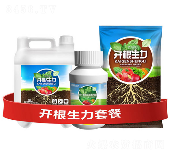開(kāi)根生力套餐B-云大科技