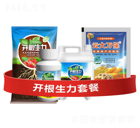 開根生力套餐A-云大科技