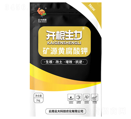 �VԴ�S�����-�_������-�ƴ�Ƽ�