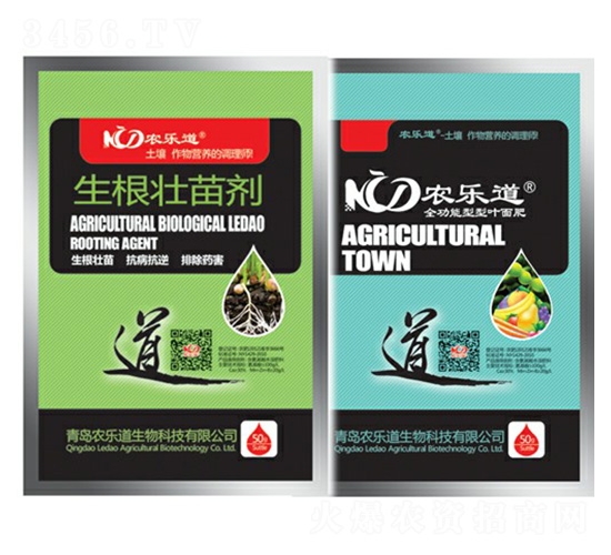 �������焩-�r��������