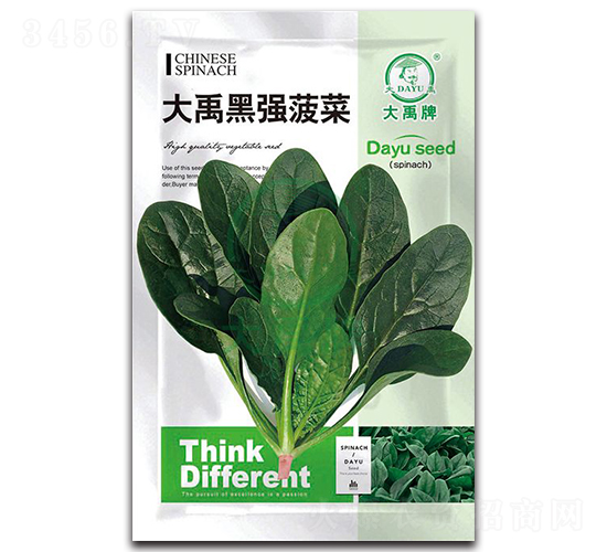 �����ڏ����˷N��-�����N�I(y��)