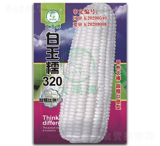 白玉糯320玉米種子-大禹種業(yè)