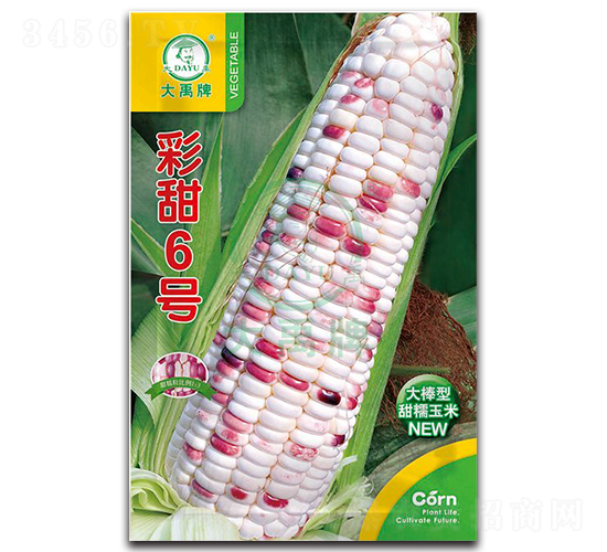 彩甜6號(hào)玉米種子-大禹種業(yè)