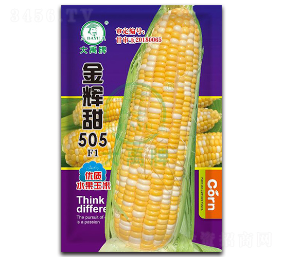 ���x��505���׷N��-�����N�I(y��)