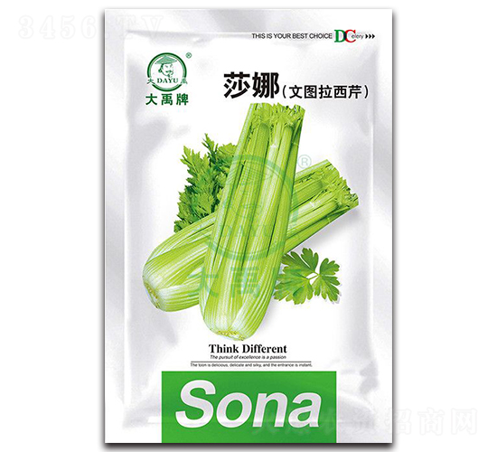莎娜文圖拉西芹種子-大禹種業(yè)