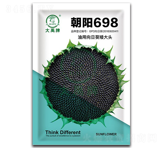 朝陽698-油葵種子-大禹種業(yè)