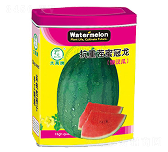 ���ز��۹���-���ϷN��-�����N�I(y��)