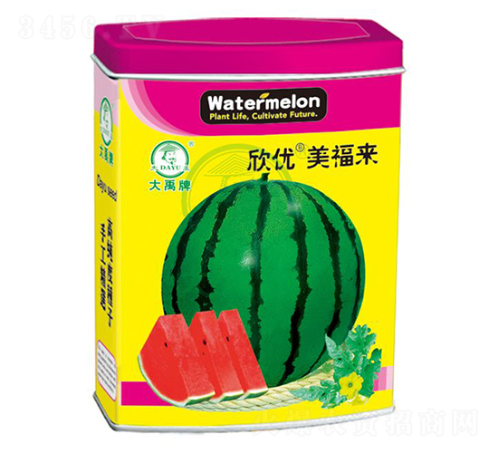 ����(y��u)���������ϷN��-�����N�I(y��)