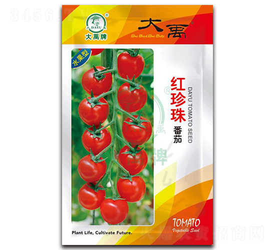 紅珍珠番茄種子-大禹種業(yè)