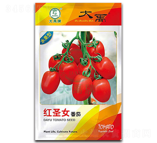紅圣女番茄種子-大禹種業(yè)