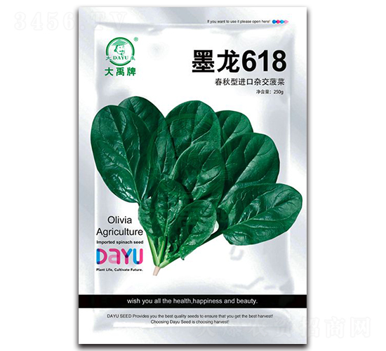 墨龍618菠菜種子-大禹種業(yè)
