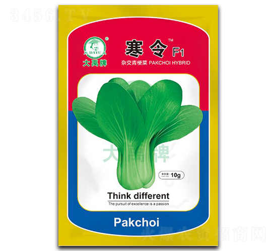 寒令油菜種子-大禹種業(yè)