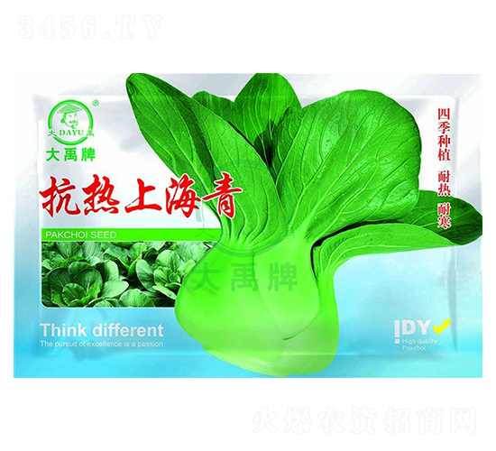 抗熱上海青種子-大禹種業(yè)