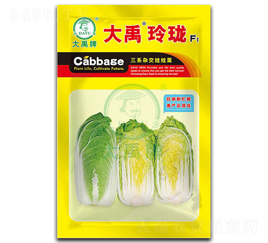大禹玲瓏大白菜種子-大禹種業(yè)