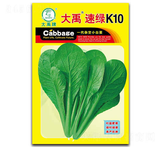 �����پGK10С�ײ˷N��-�����N�I(y��)