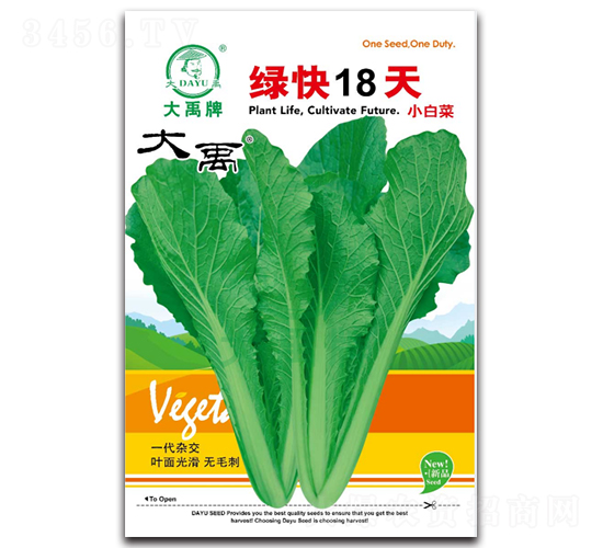 綠快18天小白菜種子-大禹種業(yè)