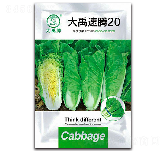大禹速騰20大白菜種子-大禹種業(yè)