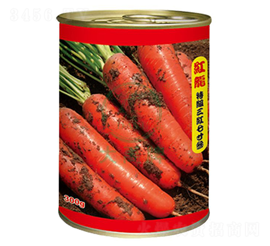 紅龍胡蘿卜種子-大禹種業(yè)