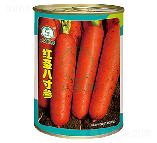 紅圣八寸參胡蘿卜種子-大禹種業(yè)