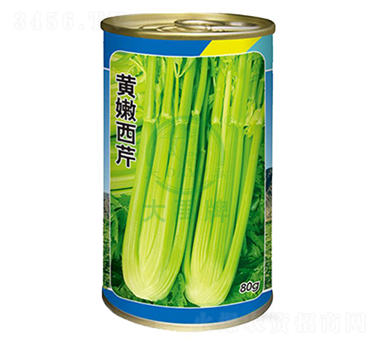 �S������-�۲˷N��-�����N�I(y��)