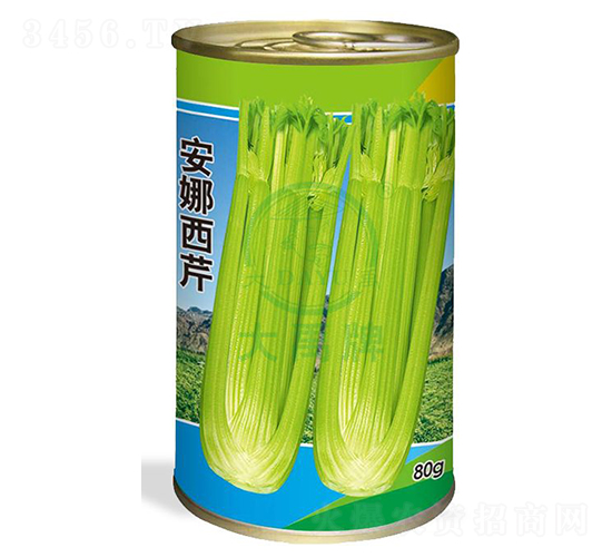 安娜西芹-芹菜種子-大禹種業(yè)