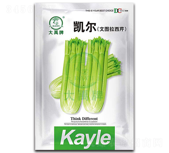 凱爾文圖拉西芹-芹菜種子-大禹種業(yè)