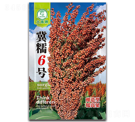 冀糯6號高粱種子-大禹種業(yè)