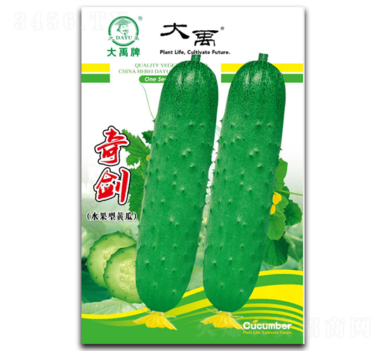 奇劍黃瓜種子-大禹種業(yè)