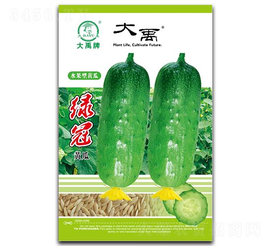 綠冠黃瓜種子-大禹種業(yè)