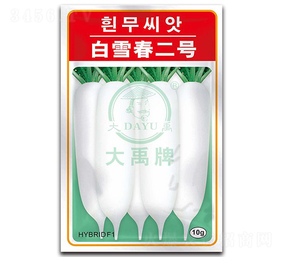 白雪春二號-蘿卜種子-大禹種業(yè)