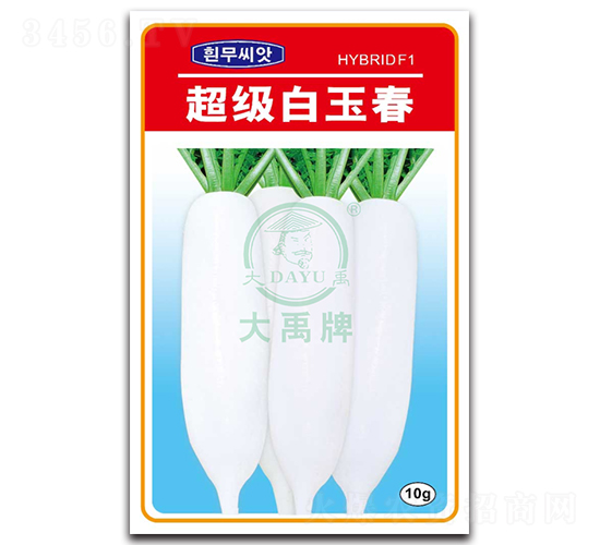 超級(jí)白玉春-蘿卜種子-大禹種業(yè)