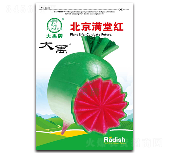 北京滿堂紅蘿卜種子-大禹種業(yè)