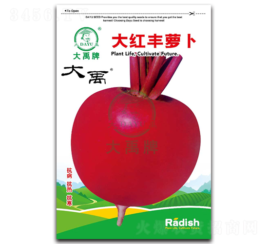 大紅豐蘿卜種子-大禹種業(yè)