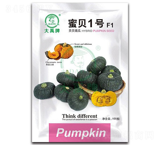 蜜貝1號貝貝南瓜種子-大禹種業(yè)