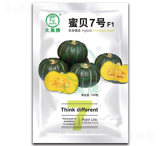 蜜貝7號貝貝南瓜種子-大禹種業(yè)