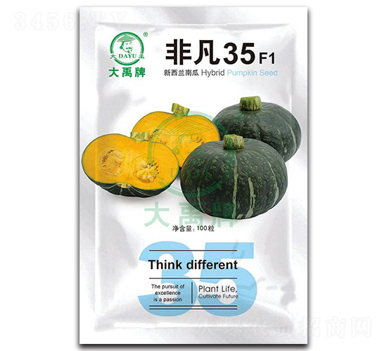 非凡35新西蘭南瓜種子-大禹種業(yè)